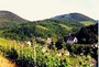 Allergikergeeignet: Enkirch, Mosel, Rheinland-Pfalz